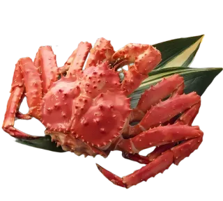 😃 krab, owoce morza, jedzenie, skorupiak, owoce morza, krab królewski telegram sticker