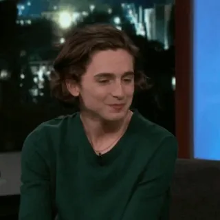 💎 Timothée Chalamet diễn viên, người nổi tiếng, người đàn ông, chân dung telegram sticker