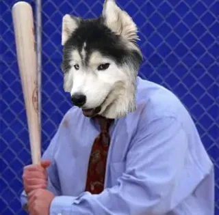 ⚾️ Husky telegram sticker