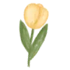 🌷