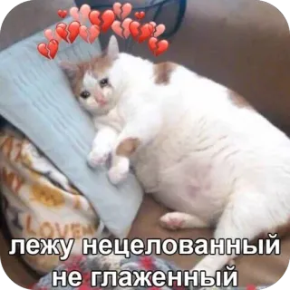 🫥 лежу нецелованный не глаженный cat, sad, crying, meme, broken heart, lonely, cute, pet telegram sticker