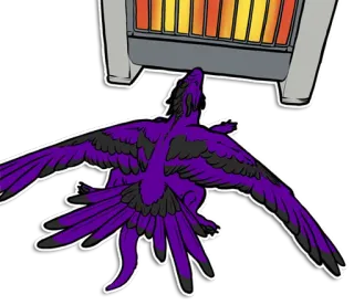 🥵 oiseau, violet, chauffage, froid, chaud, ailes, vol whatsapp sticker