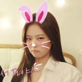 😡 서 퓌야! vrouw, konijnenoren, selfie, schattig telegram sticker