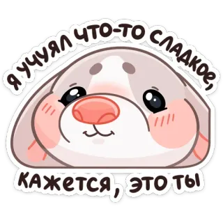 ☺️ Я учуял что-то сладкое, кажется, это ты mignon, phoque, animal, doux, kawaii telegram sticker