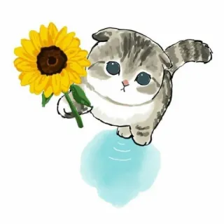 🐱 chat, chaton, tournesol, animal, mignon, animal de compagnie telegram sticker
