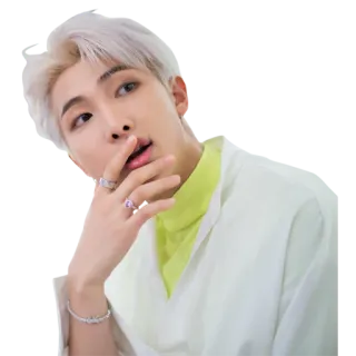 🙄 RM RM, BTS, K-Pop, Sänger, Idol, Promi, Musik telegram sticker