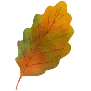 🍂 folha, outono, outono, natureza, planta, folha de carvalho telegram sticker