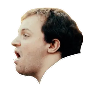 🙀 telegram sticker