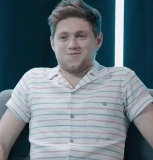 🎸 Niall Horan Niall Horan, One Direction, Cantor, Músico, Celebridade, Retrato telegram sticker