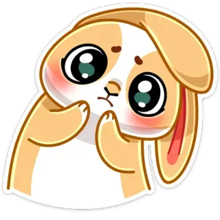 🥺 Hase, Kaninchen, süß, kawaii, Tier telegram sticker