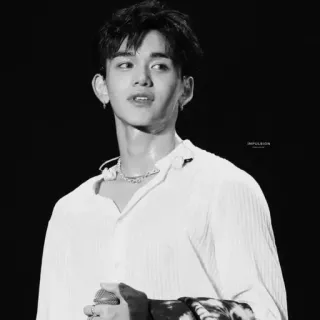 🔗 Lucas kpop, penyanyi, idola, musik, penampil, asia, ganteng telegram sticker