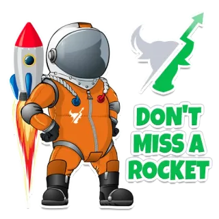 🚀 DON'T MISS A ROCKET fusée, astronaute, actions, investissement, marché haussier, finance, investissement, espace, succès whatsapp sticker
