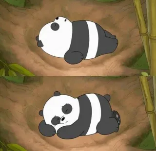 ▫️ Panda We Bare Bears Panda, Bär, Cartoon, Schlaf, Süß, Tier whatsapp sticker
