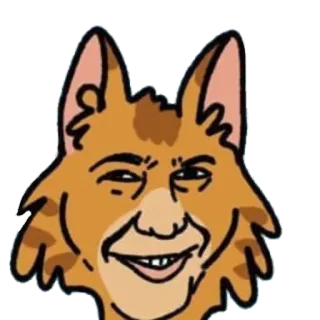🥵 猫, 动物, 表情包, 搞笑, 卡通, 笑话 telegram sticker