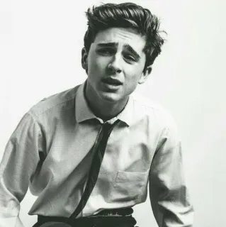 😩 Timothée Chalamet ator, celebridade, retrato, preto e branco telegram sticker