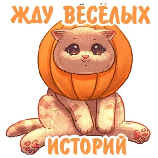 Kittens @stickersb2b telegram stickers