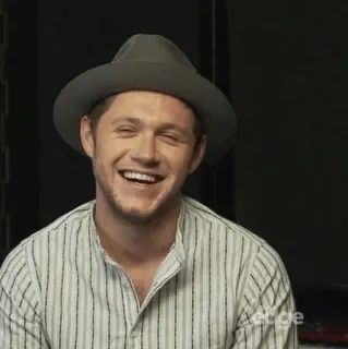✨ Niall Horan นักร้อง, นักดนตรี, หมวก, ยิ้ม, คนดัง telegram sticker
