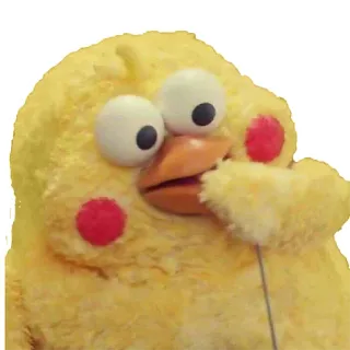 pollo whatsapp stickers