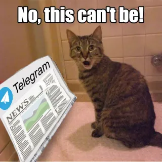 😦 No, this can't be! gato, telegram, noticias, impactado, meme, divertido telegram sticker