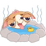 🛀 Hund, süß, Cartoon, Tier, Haustier, lustig, Bad, Ente whatsapp sticker