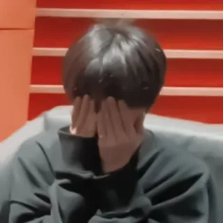 🦊 whatsapp sticker
