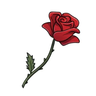 🌹 роза, цветок, красный, природа, растение, романтический telegram sticker