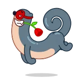 🌹 telegram sticker
