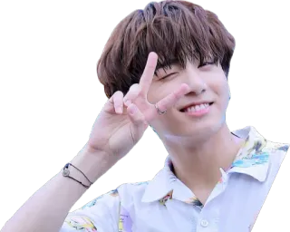😋 kpop, peace sign, happy, person, smile, idol telegram sticker