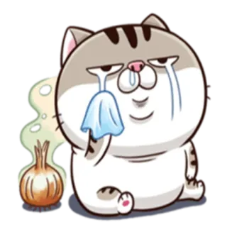 Ami fat cat whatsapp stickers