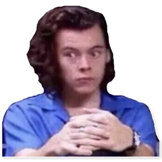 👀 Harry Styles harry styles, chanteur, one direction, célébrité, pop star, musicien, personne telegram sticker