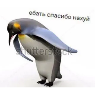 🙄 ебать спасибо нахуй penguin, meme, offensive, russian, animal telegram sticker