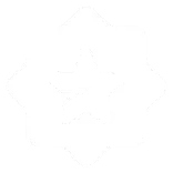 ⭐️