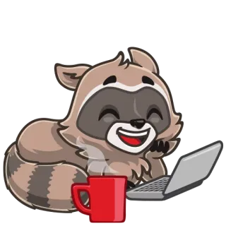 😄 แรคคูน, แล็ปท็อป, กาแฟ, น่ารัก, สัตว์, การ์ตูน telegram sticker