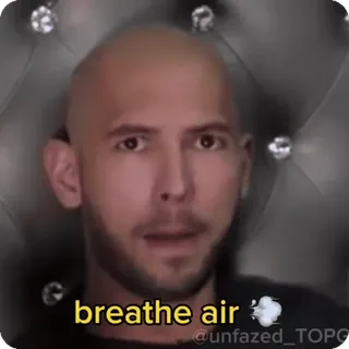 😡 Andrew Tate breathe air telegram sticker