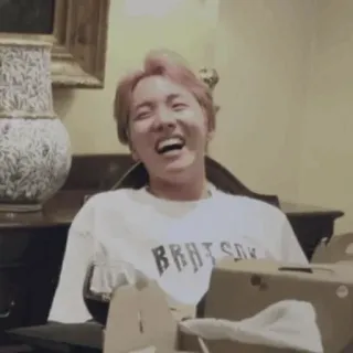 😂 BRATS người, cười, trong nhà, nam telegram sticker