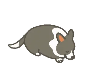 😌 dier, schattig, hond, slapen whatsapp sticker