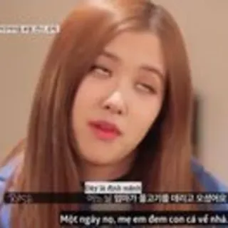 🙄 Đây là đỉnh mệnh 
Những lúc mẹ gọi là thịt heo tôi đã sẵn sàng 
Một ngày nọ, mẹ em đem cơm cá về nhà. Meme, Engraçado, Expressão, Garota, Revirando os olhos whatsapp sticker