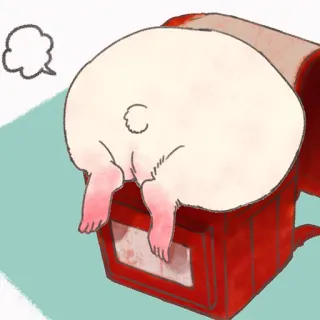 🐹 animal, hamster, cute, box telegram sticker
