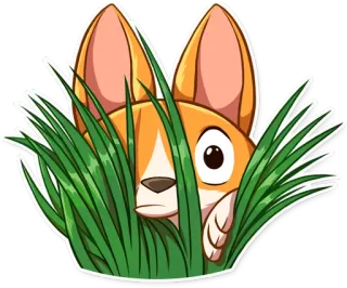 🌾 perro, corgi, césped, espiando, escondido, animal, lindo whatsapp sticker