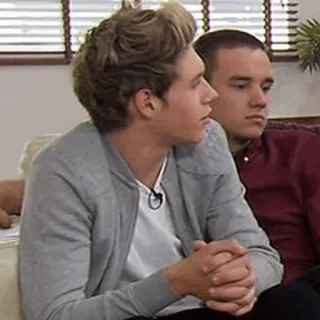 🌙 Niall Horan Sänger, Promi, One Direction, Musiker telegram sticker