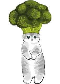 🥦 kucing, brokoli, binatang, imut, sayuran, makanan, lucu, stiker telegram sticker