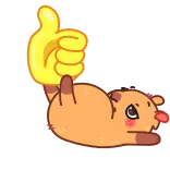 👍 hamster, thumb up, animal, cute, sticker telegram sticker