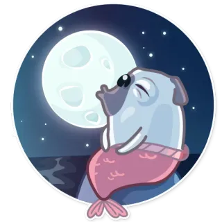 🌚 chien, phoque, lune, mignon, autocollant, animal, nuit whatsapp sticker