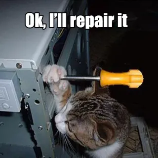 🔨 Ok, I'll repair it gato, reparación, gracioso, meme, destornillador, animal telegram sticker