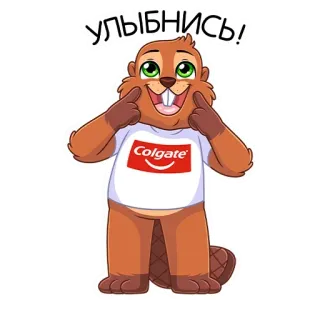 😁 УЛЫБНИСЬ! beaver, smile, Colgate, cartoon, animal telegram sticker