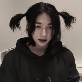 ✨ K-Pop Idol, Person, Porträt, jung, schwarze Haare, Zöpfe, Hoodie whatsapp sticker