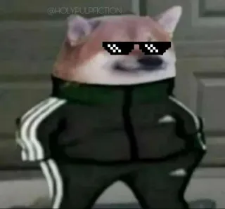 😎 Doge 개, 밈, 선글라스, 갱스터, 픽셀 telegram sticker