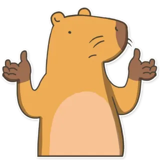 🤷 животное, мультфильм, большой палец вверх, позитив, милый whatsapp sticker
