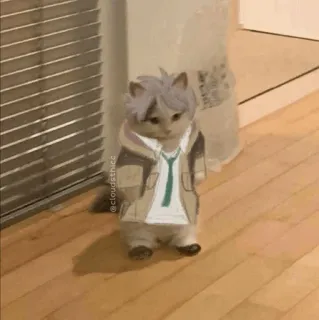 🐈 gato, animal, anime, cosplay, fofo telegram sticker