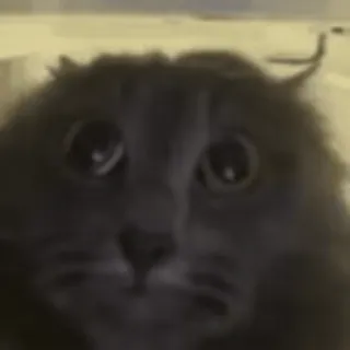 😳